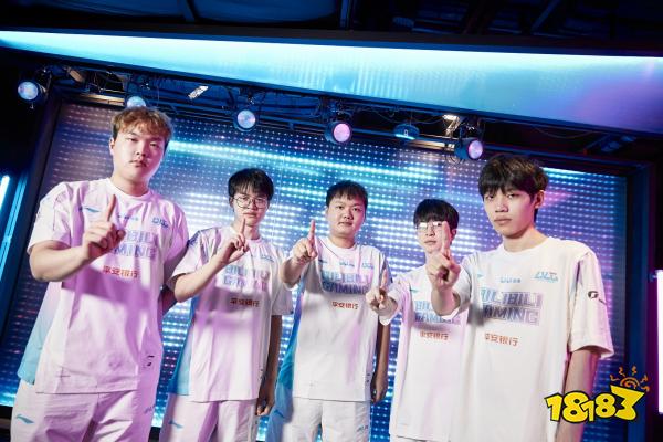 赵心童在开 赵心童在开