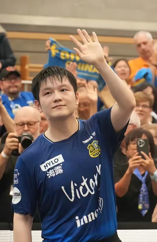 不仅展示了 不仅展示了